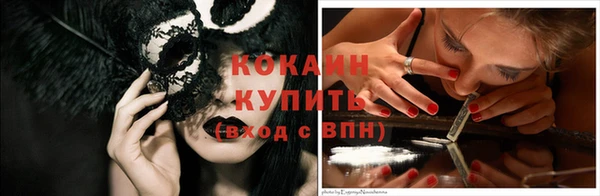 мдпв Новозыбков