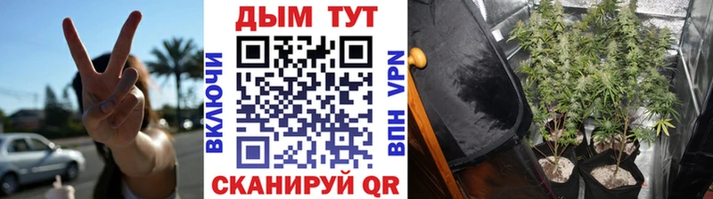 сколько стоит  Оха  Марихуана ГИДРОПОН 